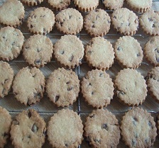 Short Chocolate Chip Biscuits